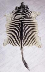 Zebravel / Zebra huid - (Equus quagga - Equus burchelli), Huis en Inrichting, Stoffering | Tapijten en Kleden, 200 cm of meer