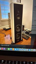 Gezocht: Magico S5 of S5 MKII, Gebruikt, 120 watt of meer, Front, Rear of Stereo speakers, Ophalen