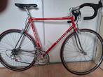 Vintage Pinarello Racefiets - Klassieker!, Overige merken, Gebruikt, Ophalen of Verzenden, 57 tot 61 cm