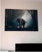 Fotoschilderij met olifant, Ophalen, Zo goed als nieuw, Schilderij, 75 tot 100 cm