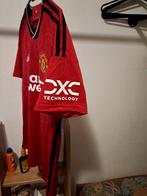 Gesigneerd T-shirt van Manchester United, Verzamelen, Sportartikelen en Voetbal, Nieuw, Shirt, Ophalen, Buitenlandse clubs