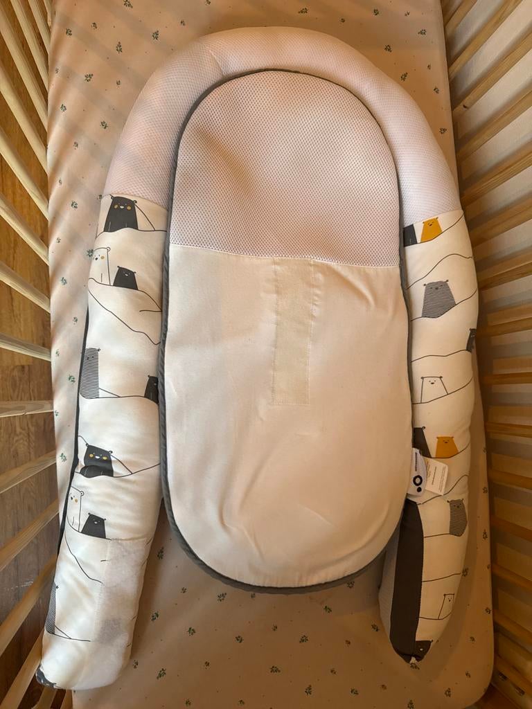 Doomoo Babynest - Perfect voor je baby!, Ophalen of Verzenden, Zo goed als nieuw, Overige typen