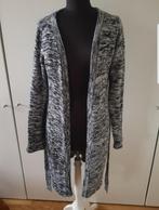 Grijs Zoi Women vest - maat XL ***zgan***, Kleding | Dames, Grijs, Ophalen of Verzenden, Zo goed als nieuw, Zoi Women