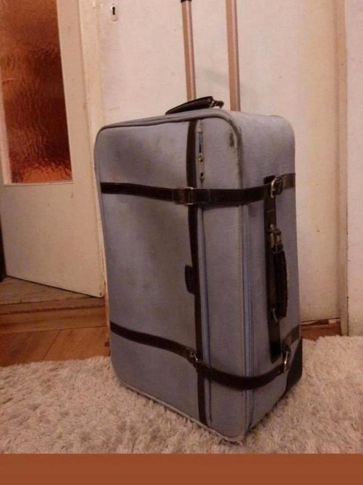 Te koop! Essential merk reiskoffer/Baggage., Sieraden, Tassen en Uiterlijk, Koffers, Ophalen of Verzenden