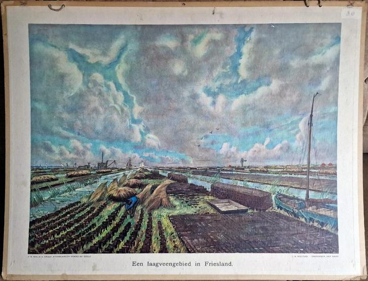 Een laagveengebied in Friesland / Johan Dijkstra, Antiek en Kunst, Antiek | Schoolplaten, Aardrijkskunde, Ophalen
