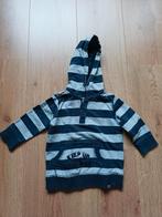 Z8 trui maat 80, Kinderen en Baby's, Babykleding | Maat 80, Truitje of Vestje, Z8, Ophalen of Verzenden, Zo goed als nieuw