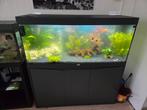 Aquarium aqualantis volga 240 liter, Dieren en Toebehoren, Ophalen, Zo goed als nieuw, Leeg aquarium