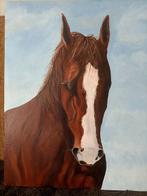 Paardenportret Schilderij 40-50 cm, Antiek en Kunst, Kunst | Schilderijen | Modern, Ophalen of Verzenden