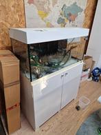 Ferplast aquarium, Dieren en Toebehoren, Vissen | Aquaria en Toebehoren, Ophalen, Gebruikt, Leeg aquarium