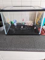 Aquarium, Verzenden, Zo goed als nieuw, Leeg aquarium