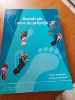 Siep van der Werf - Sociologie voor de praktijk, Boeken, Siep van der Werf; Klaas J. Hoeksema, Ophalen of Verzenden, Zo goed als nieuw