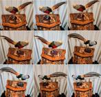 Opgezette goudfazant en lady amherst fazant, Ophalen