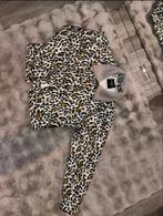 Colourful Rebel Jasje Maat M - Helmond, Ophalen of Verzenden, Zo goed als nieuw, Maat 38/40 (M), Jasje