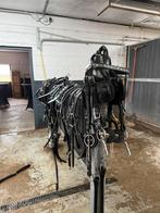 IDEAL dubbelspan tuig, Dieren en Toebehoren, Paarden en Pony's | Hoofdstellen en Tuigage, Ophalen, Gebruikt, Overige soorten