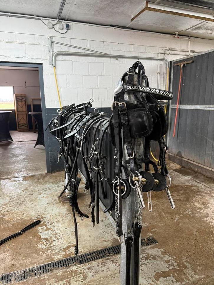 IDEAL dubbelspan tuig, Dieren en Toebehoren, Paarden en Pony's | Hoofdstellen en Tuigage, Gebruikt, Overige soorten, Ophalen