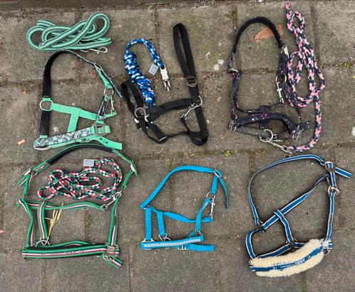 Halsters - Eskadron grafitti, green italy & meer!, Dieren en Toebehoren, Paarden en Pony's | Overige Paardenspullen, Nieuw, Overige soorten
