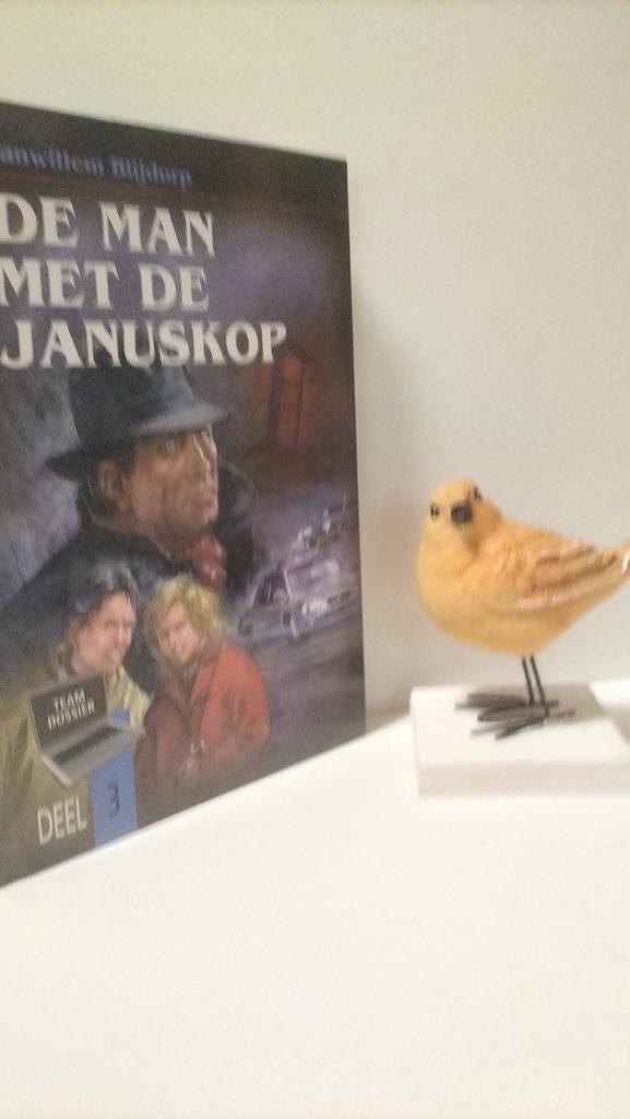 Blijdorp, Janwillem;  Team Dossier deel 3, Boeken, Kinderboeken | Jeugd | 10 tot 12 jaar, Gelezen, Ophalen of Verzenden