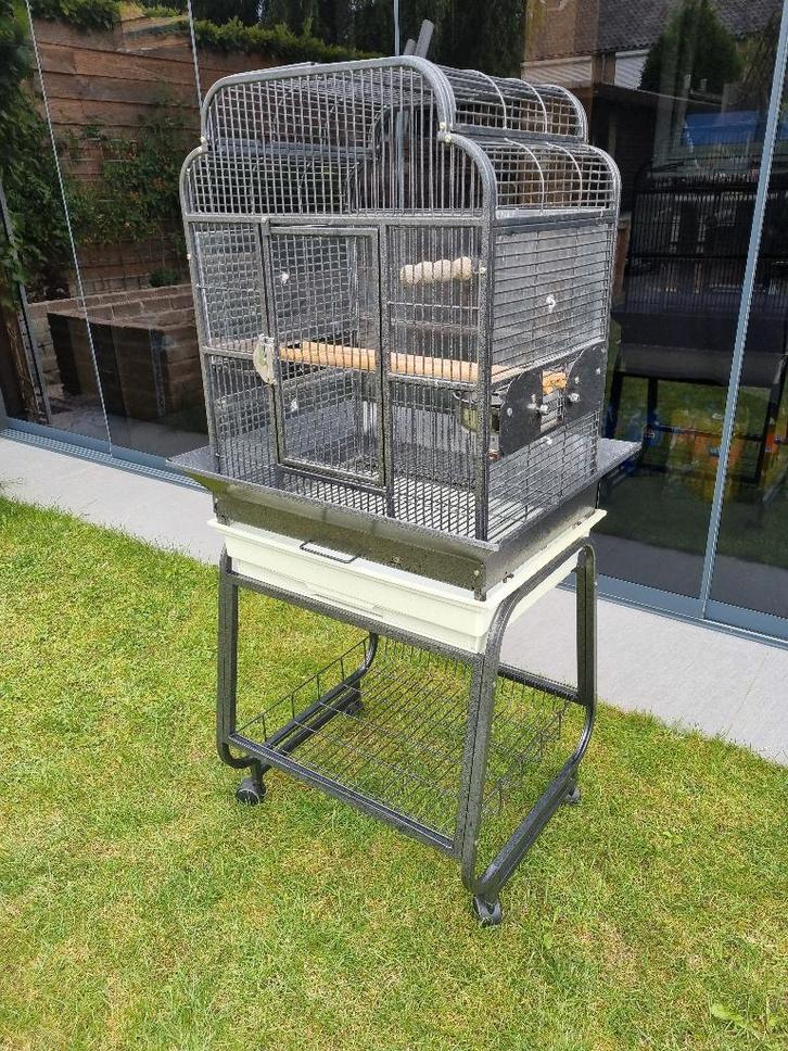 Papegaaienkooi Strong Villa Gaia, Dieren en Toebehoren, Vogels | Hokken en Kooien, Zo goed als nieuw, Vogelkooi, Metaal, Ophalen