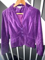 George fluwelen paarse jasje maat 38/40, Kleding | Dames, Jasjes, Kostuums en Pakken, Ophalen of Verzenden, Zo goed als nieuw