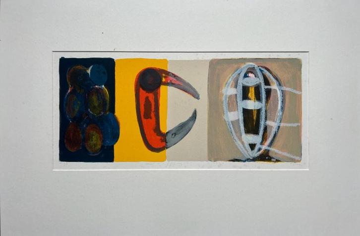 Zeefdruk Piet Warffemius - Vijf, Antiek en Kunst, Kunst | Litho's en Zeefdrukken, Ophalen of Verzenden