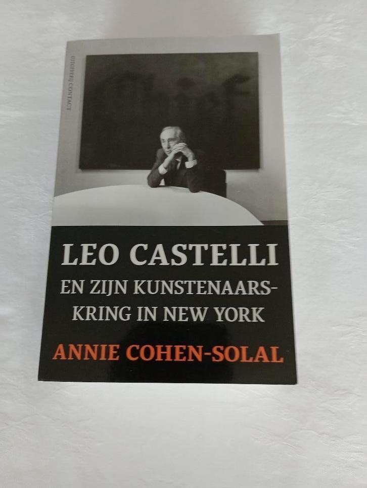 Annie Cohen-Solal New York Leo Castelli galerie kunstenaars, Boeken, Kunst en Cultuur | Beeldend, Zo goed als nieuw, Schilder- en Tekenkunst