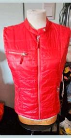 WE rood bodywarmer, Maat 38/40 (M), WE, Ophalen of Verzenden, Zo goed als nieuw