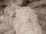 Hooi paardenhooi, Dieren en Toebehoren, Dierenvoeding, Ophalen of Verzenden, Vee