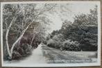 Terschelling,  via de Longway naar zee., Ophalen of Verzenden, 1940 tot 1960, Gelopen, Waddeneilanden