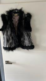 BODYWARMER MAAT L/XL, Kleding | Dames, Ophalen of Verzenden, Gedragen, Maat 42/44 (L), Zwart