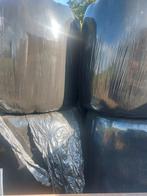 Mooi hooi en kuil gras, Dieren en Toebehoren, Dierenvoeding, Ophalen of Verzenden, Vee