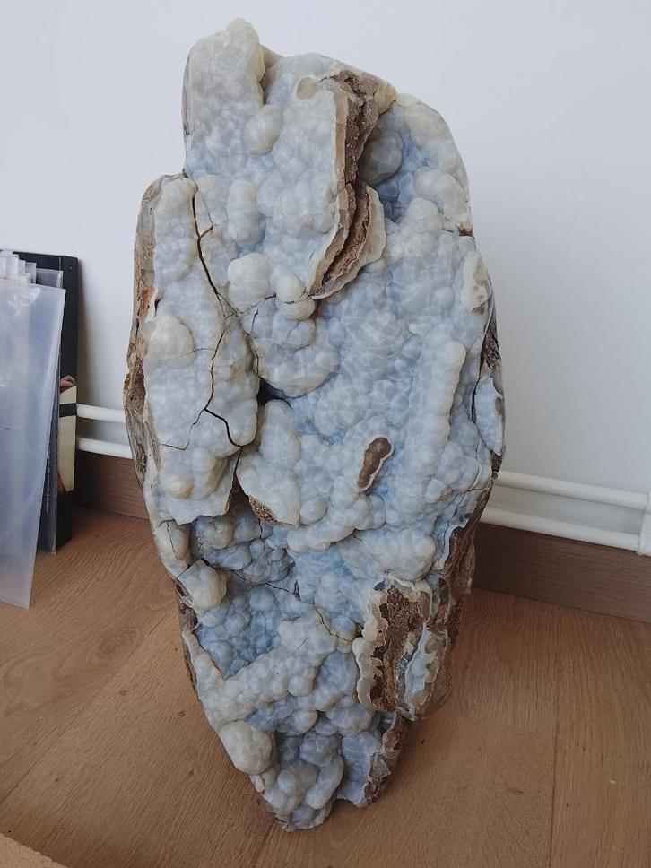 Versteende boom kristalgroei, Verzamelen, Mineralen en Fossielen, Ophalen