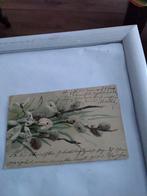 SNEEUWKLOKJES MET. KATJES. 1906, Verzamelen, Ophalen of Verzenden, Voor 1920, Overige thema's