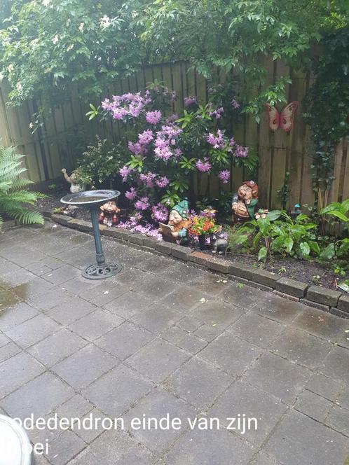GEZOCHT voor mindervalide vrouw 67 jaar TUINMAN, Diensten en Vakmensen, Tuinmannen en Stratenmakers