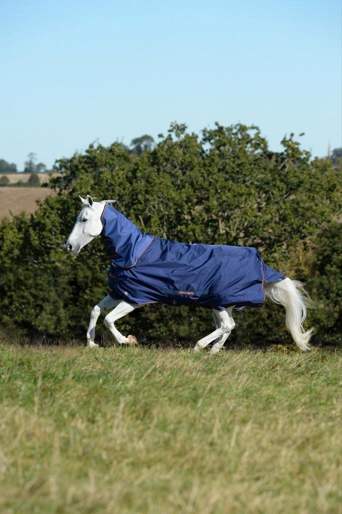 Te koop: compleet Bucas Therapy / Recuptex Turnout set, Dieren en Toebehoren, Paarden en Pony's | Dekens en Dekjes, Zo goed als nieuw