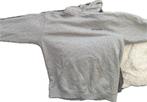 Mooi grijze balenciaga hoodie Maat M, Kleding | Heren, Truien en Vesten, Maat 48/50 (M), Ophalen of Verzenden, Grijs, Gedragen