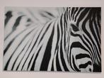 Ikea Zebra Canvas - 78x117cm, Ophalen, 100 tot 125 cm, 75 cm of meer, Print