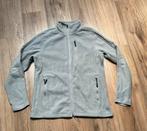 Dames vest grijs / L, Ophalen of Verzenden, Zo goed als nieuw, Maat 42/44 (L), Grijs