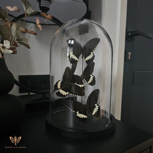 Vlinderstolp/Vlinders in stolp, Huis en Inrichting, Woonaccessoires | Stolpen, Nieuw, Ophalen of Verzenden