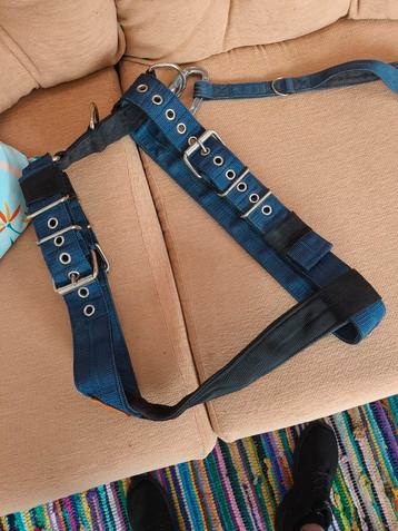 Extreme doggear honden tuig +lijn beschikbaar voor biedingen