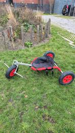 Peter Lynn Kite Buggy - Strandzeilen, Ophalen, Gebruikt