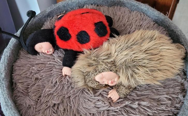 Ann Geddes, Kinderen en Baby's, Speelgoed | Poppen, Zo goed als nieuw, Babypop, Ophalen of Verzenden