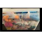 Grote Partij Speelgoed ZGAN / Nieuw - Pluche Knuffels, Ophalen of Verzenden, Zo goed als nieuw, Overige typen