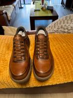 Veterschoenen heren Pikolinos Gabanes, Ophalen of Verzenden, Nieuw, Bruin