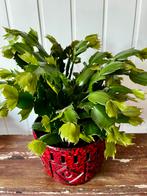 Vintage bloempot, Antiek en Kunst, Ophalen of Verzenden