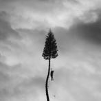 Manchester Orchestra - A Black Mile To The Surface - CD, Verzenden, Poprock, Nieuw in verpakking