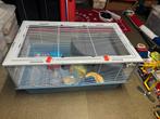 Hamster-Cavia kooi, Dieren en Toebehoren, Ophalen, Kooi, 60 tot 90 cm, Zo goed als nieuw