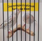 Topaas rood mozaïek kanarie poppen, Dieren en Toebehoren, Vogels | Kanaries, Vrouwelijk, Kleurkanarie
