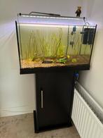 Aquarium 60 liter, Ophalen, Zo goed als nieuw, Gevuld zoetwateraquarium