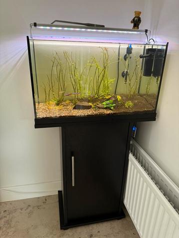 Aquarium 60 liter beschikbaar voor biedingen