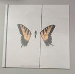 Paramore Brand New Eyes Vinyl Sealed, Cd's en Dvd's, Ophalen of Verzenden, 2000 tot heden, Nieuw in verpakking, 12 inch